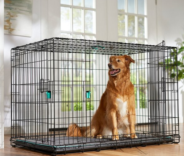 Photo 1 of FRISCO BY CHEWY TEAL 42” HEAVY DUTY ENHANCED LOCK DOG CRATE KIT SKU#233735 (2-DOOR 42”)