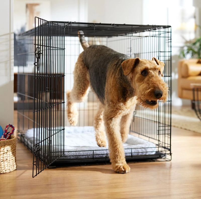 Photo 1 of FRISCO BY CHEWY 48” HEAVY DUTY  DOG CRATE  SKU#109792 (DOUBLE DOOR 48”)