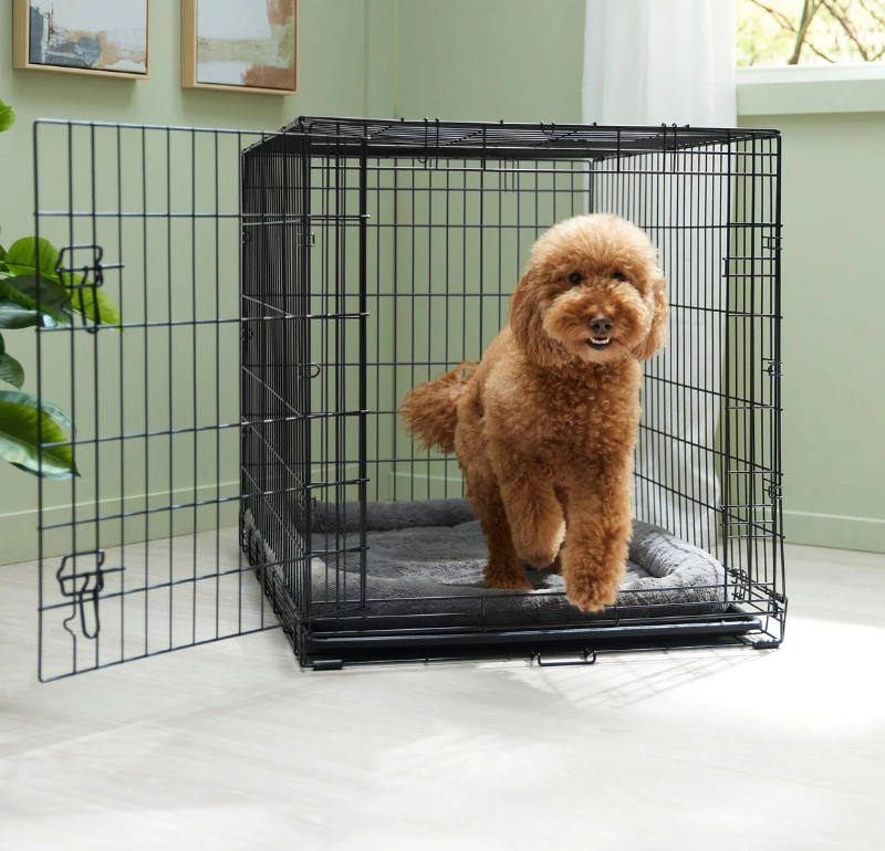 Photo 1 of FRISCO BY CHEWY SINGLE DOOR 42” DOG CRATE SKU#88797