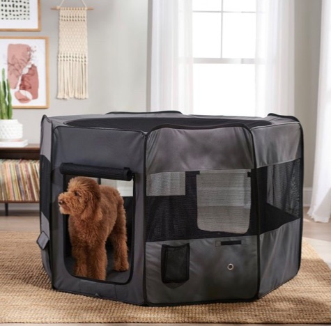 Photo 1 of NIB FRISCO BY CHEWY 62” PORTABLE PLAYPEN SKU#277929