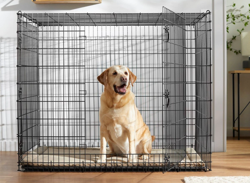 Photo 1 of NIB FRISCO DOUBLE DOOR 54” XXL DOG CRATE SKU #97489