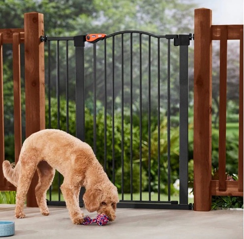 Photo 1 of NIB FRISCO BY CHEWY OUTDOOR STEEL ARCH EXTRA WIDE BLACK PET GATE. SKU #507118