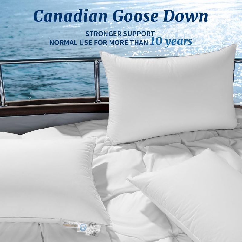 Photo 2 of 
Canadian Luxury Goose Down Pillow Queen Size - 900 Fill Power, 600 TC Cotton Shell- Ultra Soft and Comfort Sleep Pillows - Bed Pillows for Back, Stomach, Side Sleeper(White,Queen(Pack of 1))