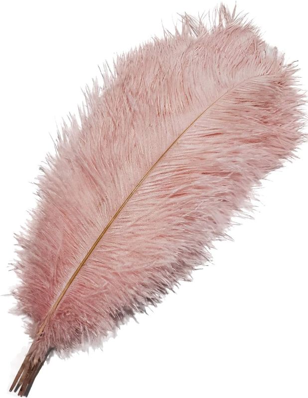 Photo 1 of 16 to 1 inch ostrich feather pink