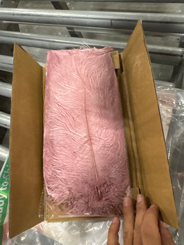 Photo 2 of 16 to 1 inch ostrich feather pink