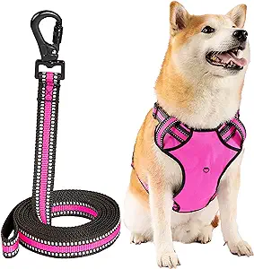 Photo 1 of MXCOIRTP Dog Harness and Leash Set, Adjustable Reflective Soft Padded Pet Vest, No Choke Front Clip Dog Harness with Easy Control Handle for Small Medium Large Dogs, with A Free 5ft Dog Leash, Pink,XL