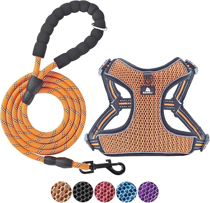 Photo 1 of BAAPET Breathable Dog Harness for Small Puppy, Medium Dogs Step-in and Air Mesh with 6 Feet Reflective Rope Dog Leash (S - 6 FT x Chest (17~19''), Orange)