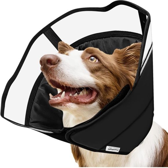 Photo 1 of Cryptdogle Upgraded Dog Cone Collar for After Surgery, Soft Pet