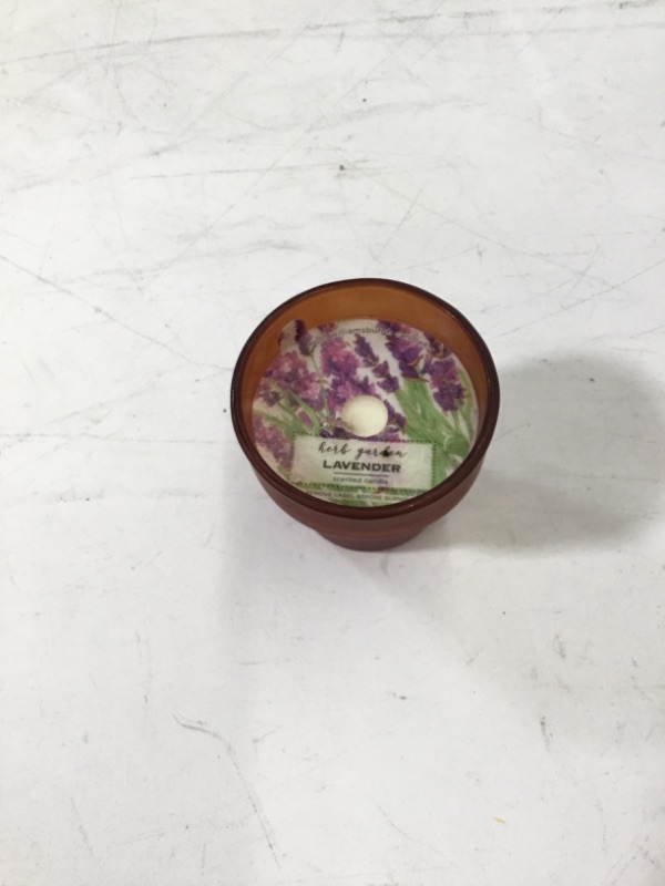 Photo 1 of Old Williamsburg Candle 'Herb Garden - Lavender' Small Candle 