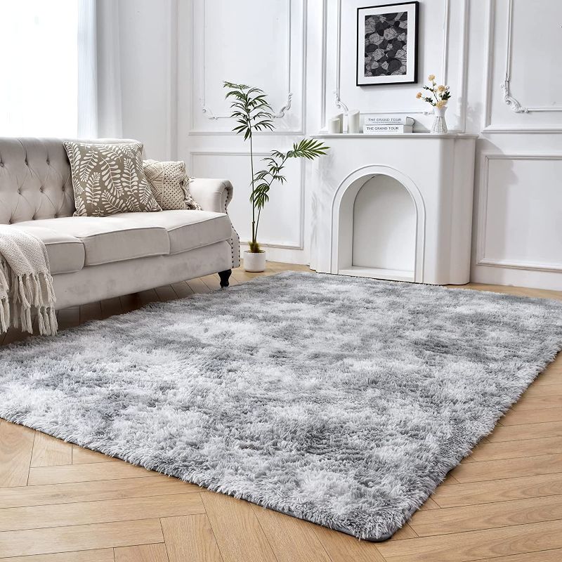 Photo 1 of Gray Shag Rug