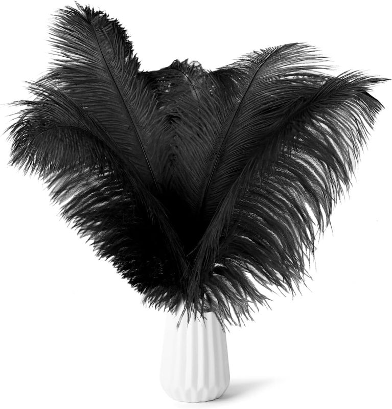 Photo 1 of HaiMay 30 Pieces Black Feathers Ostrich Feathers for Craft Wedding Home Party Decorations,10-12 Inches Black Craft Feathers