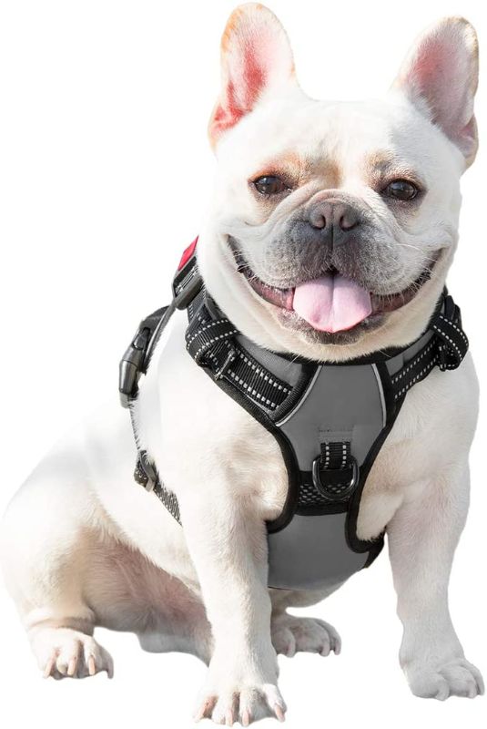 Photo 1 of PHOEPET No Pull Dog Harness Medium Reflective Front Clip Vest with Handle,Adjustable 2 Metal Rings 3 Buckles,[Easy to Put on & Take Off] (M, Grey)