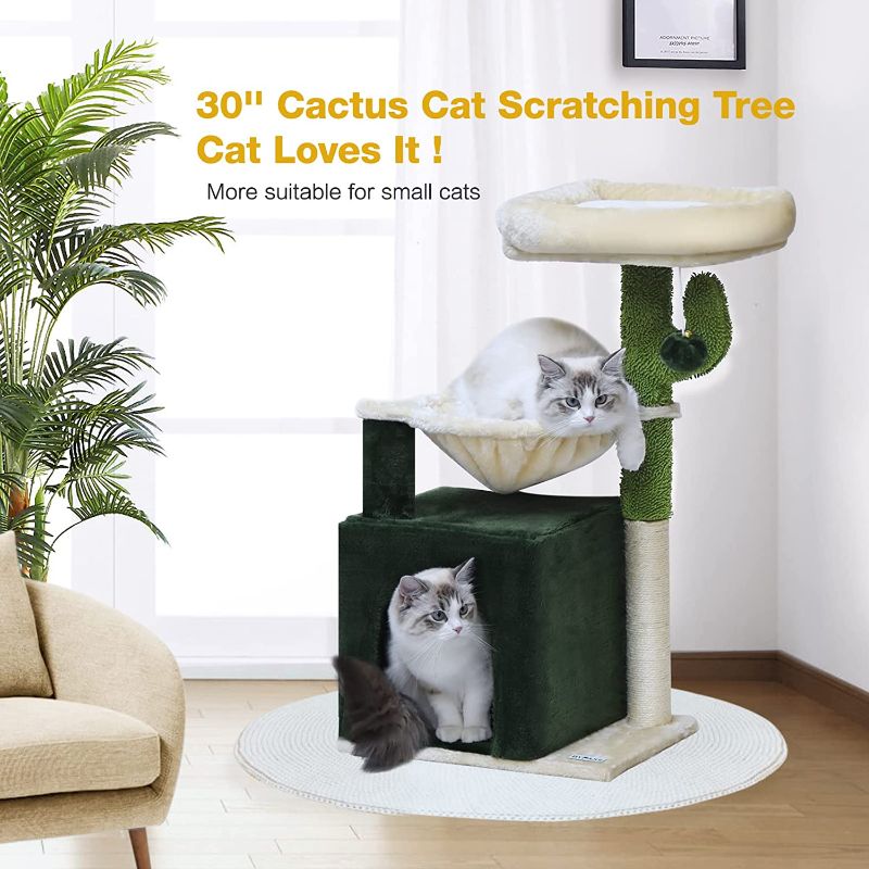 Photo 4 of BYPASS Cat Tree 30" Cactus Cat Tower with Sisal Scratching Post for Indoor Cats, Cozy Condo with Hammock, Plush Perches and Dangling Ball, Cat Furniture for Kittens Small Cats
