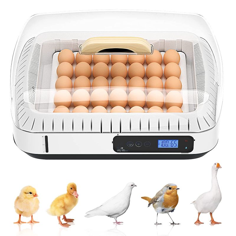 Photo 1 of 35 Eggs incubators for Hatching Eggs Automatic Fahrenheit Temperature for Hatching Chicken Bird Quail Duck Goose Pigeon Farm Poultry