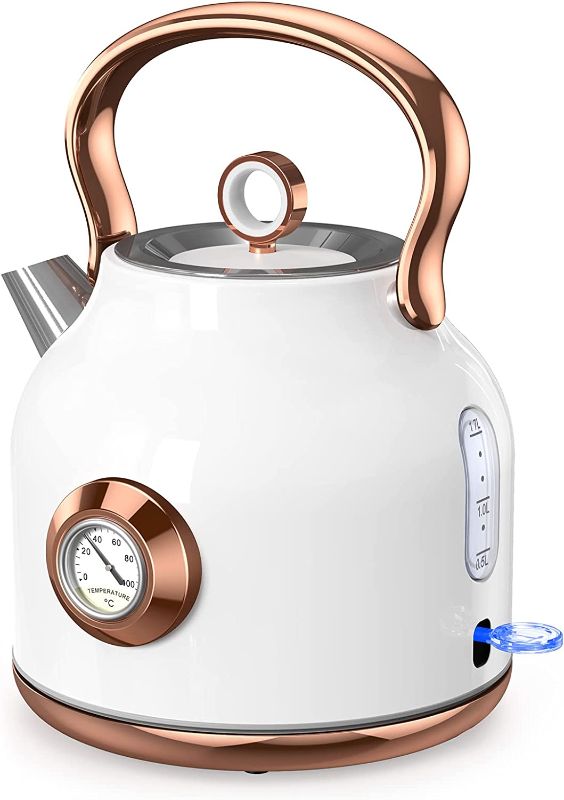 Photo 1 of NESSGRAIM Retro Electric Kettle, 1.7L Stainless Steel Tea Kettle with Large Temperature Gauge, 1500W Fast Heating Hot Water Boiler with LED Indicator, Auto Shut-off & Boil-Dry Protection-Elegant White

