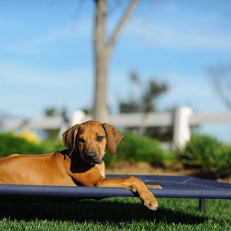 Photo 2 of Veehoo Cooling Elevated Dog Bed, Portable Raised Pet Cot with Washable & Breathable Mesh, No-Slip Rubber Feet for Indoor & Outdoor Use, Large, Blue
