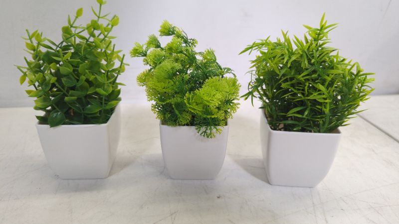 Photo 1 of 3Pack small Foliage plants fork desk