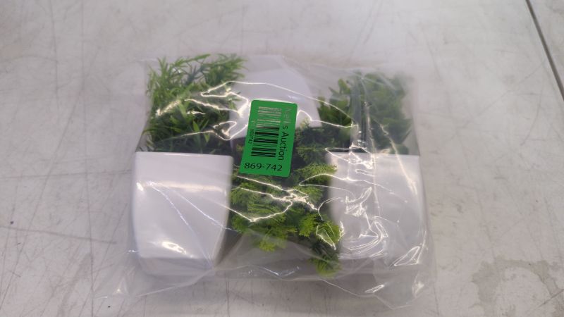 Photo 2 of 3Pack small Foliage plants fork desk