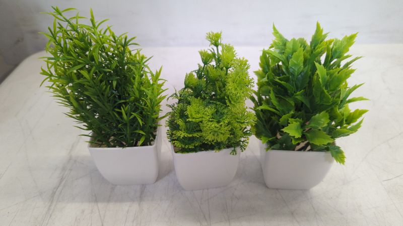 Photo 1 of 3Pack small Foliage plants fork desk