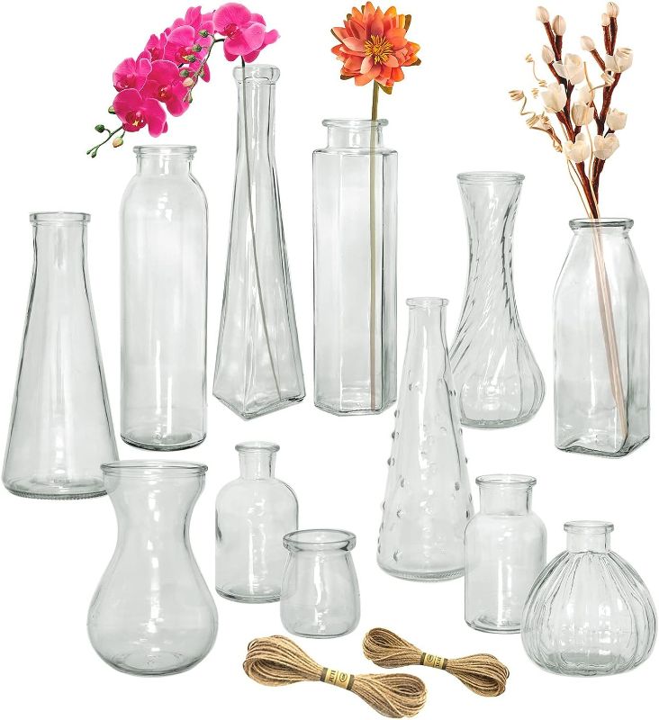 Photo 1 of Paisener Bud Vases Set of 12, Multiple Shapes of Small Glass vase Set, Flower vases for Decor and Wedding centerpieces for Tables (Clear, 12)
