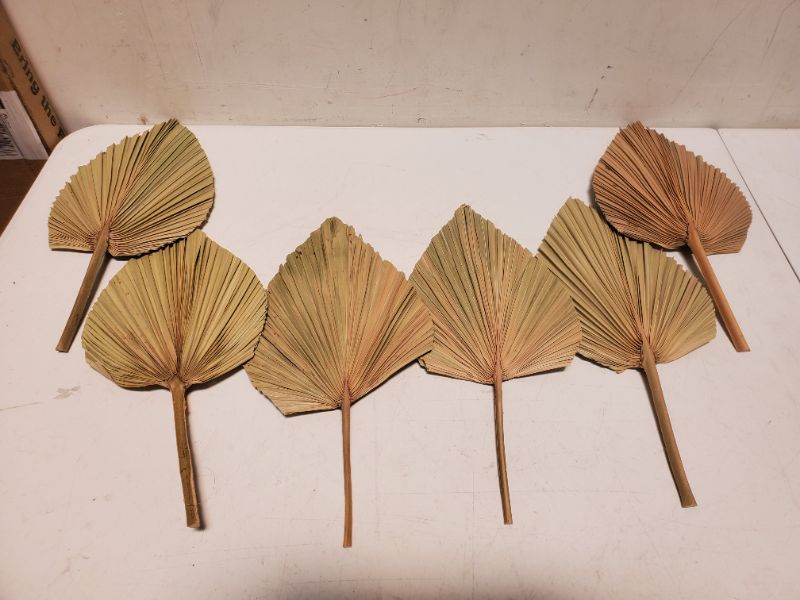 Photo 4 of Dried Palm Leaves Decor, 6Pcs Natural Tropical Palm Leaves, Boho Art Wall Hanging Palm Spears, Trimmed Palm Leaves for Weddings Bedroom Wall Decoration