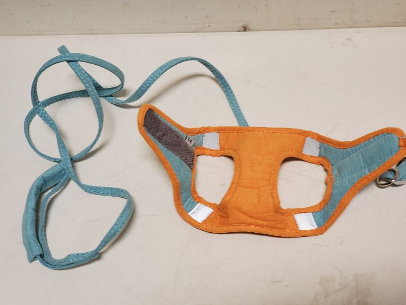 Photo 2 of Cat Harness And Leash, Kitten Vest Harnesses Reflective For Walking For Training Blue Orange