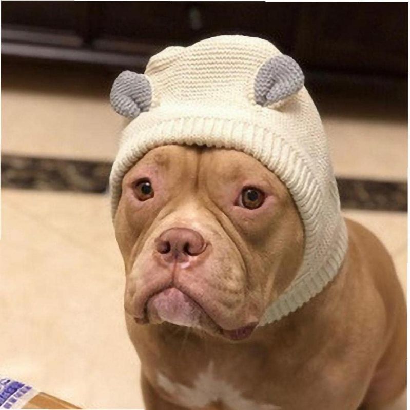 Photo 1 of 1pc Dog Knitted Hats Funny Dog Ears Cover Pet Ear Muffs Dog Winter Warm Head Wrap Pet Snood for Dog Puppy Cat Kitten