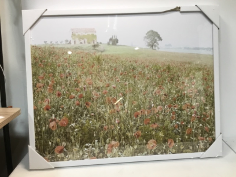 Photo 2 of 30" x 24" Wildflowers on the Hill Framed Under Plexiglass - Threshold designed with Studio McGee