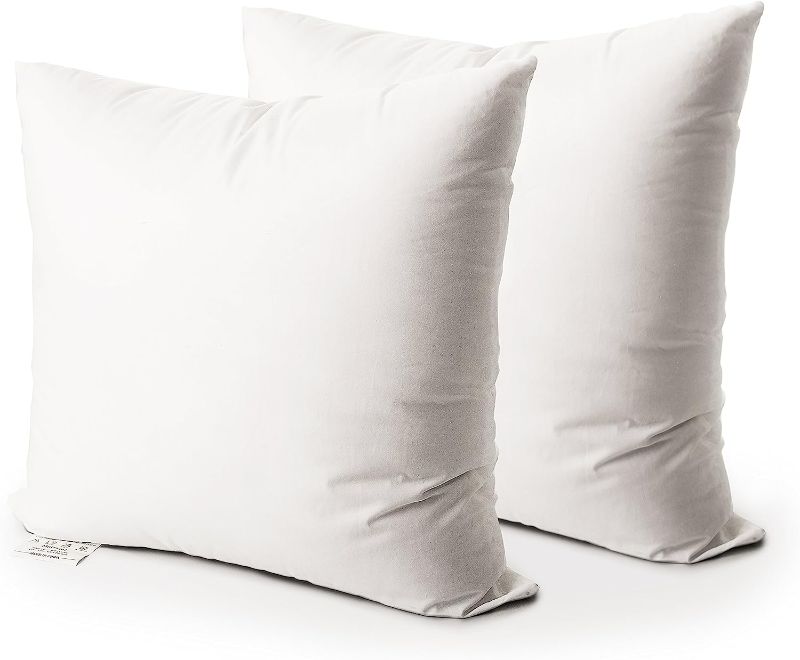 Photo 1 of 
EDOW Throw Pillow Insert, Set of 2 Down Alternative Polyester Square Form Decorative Pillow, Cushion,Sham Stuffer. (White, 18x18)