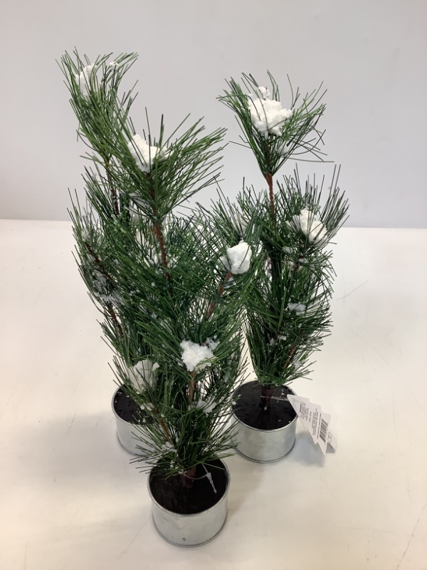 Photo 1 of 3-pack Mini Tree with Snow, Decor, 13" Length 