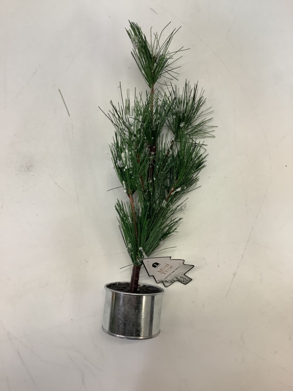 Photo 3 of 3-pack Mini Tree with Snow, Decor, 13" Length 