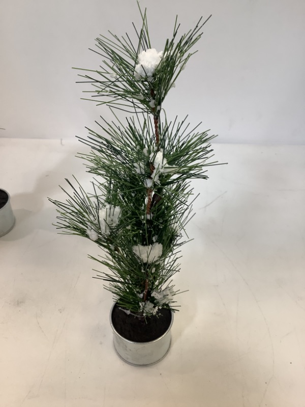 Photo 2 of 3-pack Mini Christmas Tree with Snow, 13" Length 