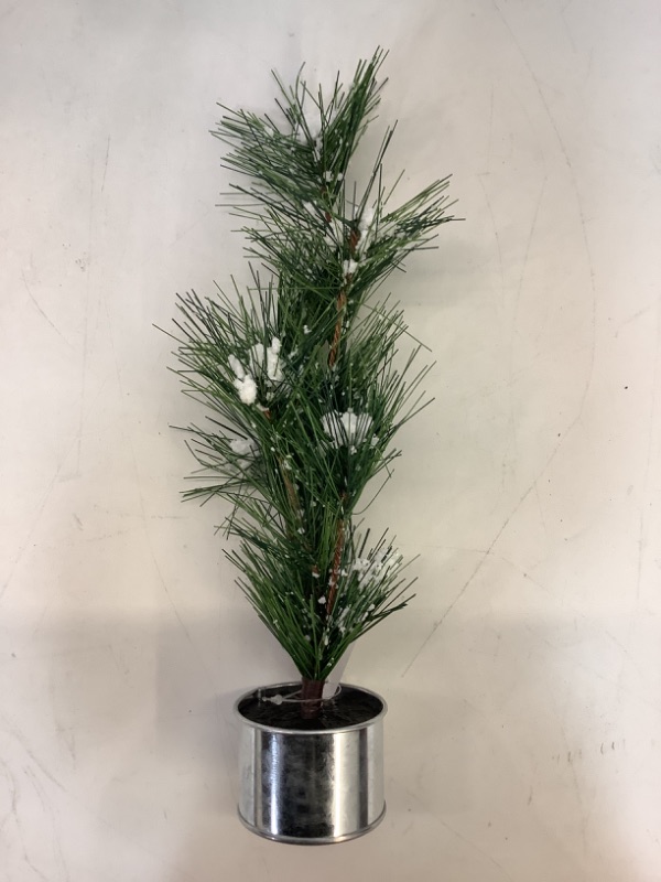 Photo 3 of 3-pack Mini Christmas Tree with Snow, 13" Length 