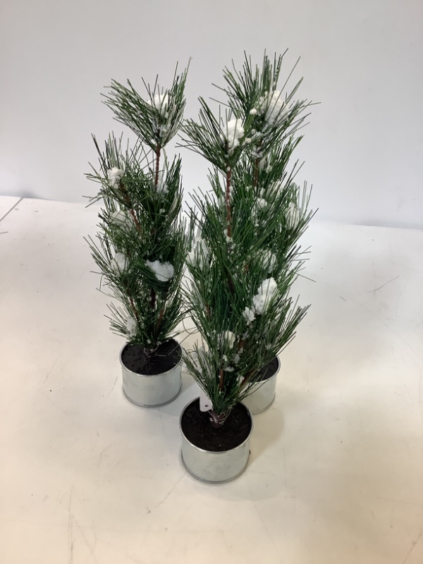 Photo 1 of 3-pack Mini Christmas Tree with Snow, 13" Length 