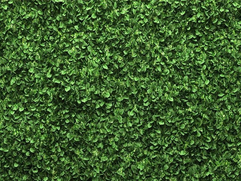 Photo 1 of Green Leaves Backdrop Greenery Leaf Wall Background Jungle Theme Baby Shower Party Wedding Shower Party Bridal Shower Photo Props Cake Table Decor 066