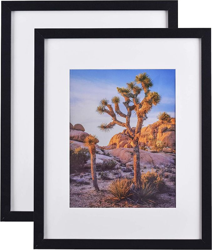Photo 1 of A PLUS MAX 20wx24l Picture Frames for Wall Black Poster Frame 16x20 Matted to 11x14 or 16x20 without Mat, Polystyrene Glass for Wall Hanging Photo Frame, 2 Pack Value Set