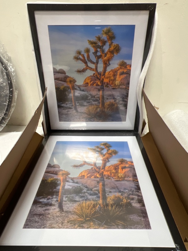 Photo 1 of A PLUS MAX 20wx24l Picture Frames for Wall Black Poster Frame 16x20 Matted to 11x14 or 16x20 without Mat, Polystyrene Glass for Wall Hanging Photo Frame, 2 Pack Value Set