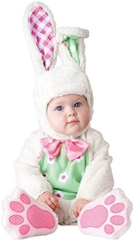 Photo 1 of InCharacter Baby Bunny Baby Costume - Infant Small
6-months