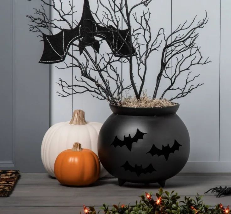 Photo 2 of Hyde & EEK! Boutique - Black Metal Cauldron Planter - 9.25 inches (H) by 10.5 inches (W) by 10.5 inches (D)