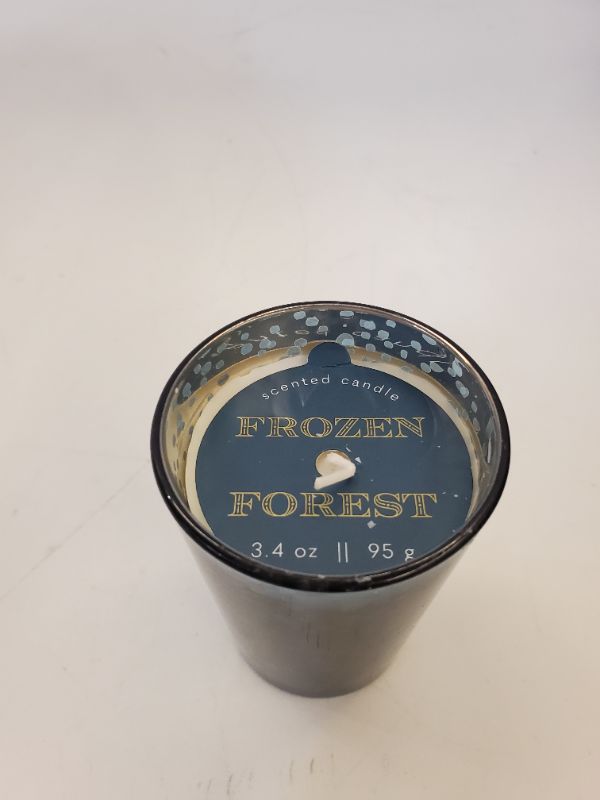 Photo 1 of FROZEN FOREST SCENTED CANDLE - 3.4 OZ 