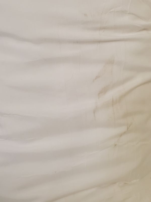 Photo 6 of Edow Throw Pillow Insert, Lightweight Soft Polyester Down Alternative Decorative Pillow, Sham Stuffer, Machine Washable 24" x 24" - white