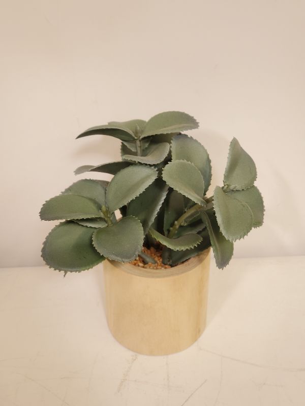 Photo 2 of THRESHOLD - FAUX ARRANGEMENT - GRAY JADE PLANT - 7.5 INCHES H 