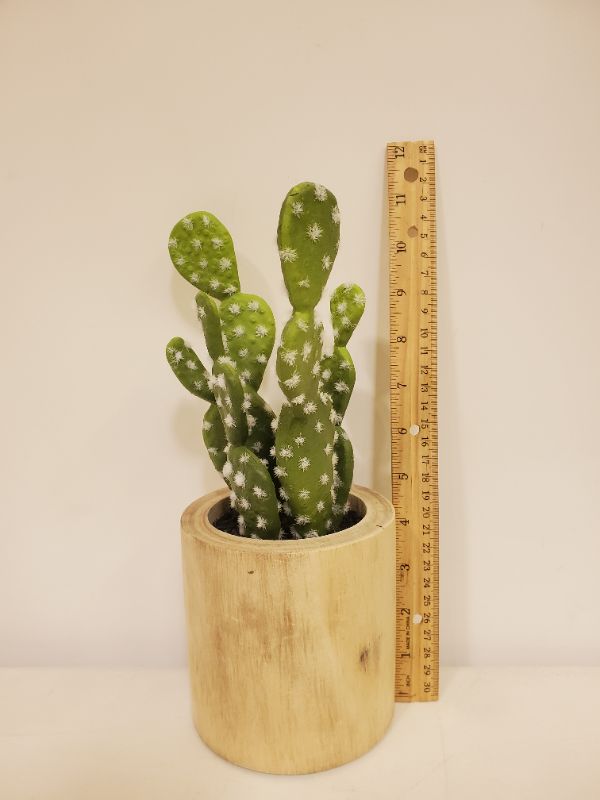 Photo 4 of Medium Cactus Wood Pot - Threshold