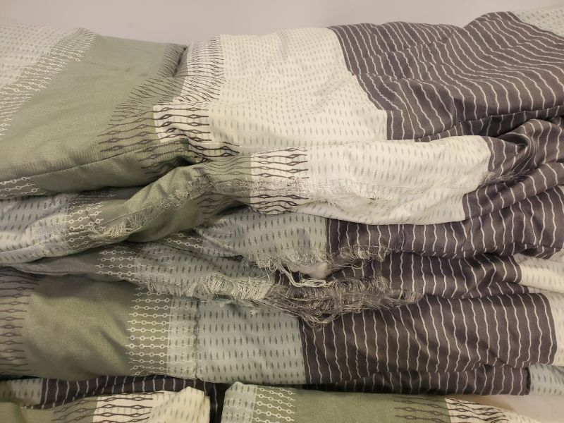 Photo 1 of Litanika Comforters Queen Size Set Sage Green - 3 Pieces Lightweight Fluffy Bedding Comforter Sets Queen Bed, All Season Down Alternative (1 Comforter, 2 Pillowcases) - Color:Sage Green