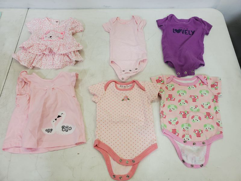 Photo 1 of 6 PIECE BABY GIRL TOP LOT - CLOTHING SIZE VARIES (0M-9M)