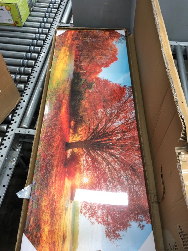 Photo 1 of 55X20 AUTUMN  TREE CANVAS ART