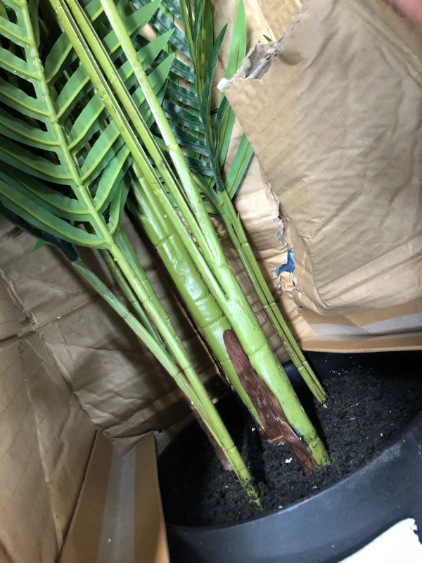 Photo 5 of **minor damage to pot**
Amazon Basics Artificial Palm Tree Plant with Plastic Nursery Pot, 66.9-Inch Large