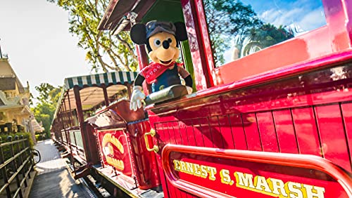 Photo 1 of Disney Mickey mouse 
