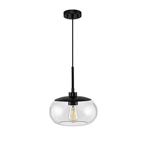 Photo 1 of 10" Single Pendant Light with Clear Glass Shade(Matte Black Finish)
