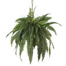 Photo 1 of 22" Artificial Large Boston Fern Hanging Basket